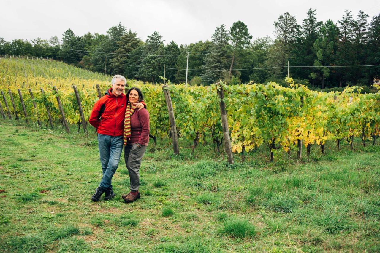 Podere Orto Wine Country House Trevinano Bagian luar foto