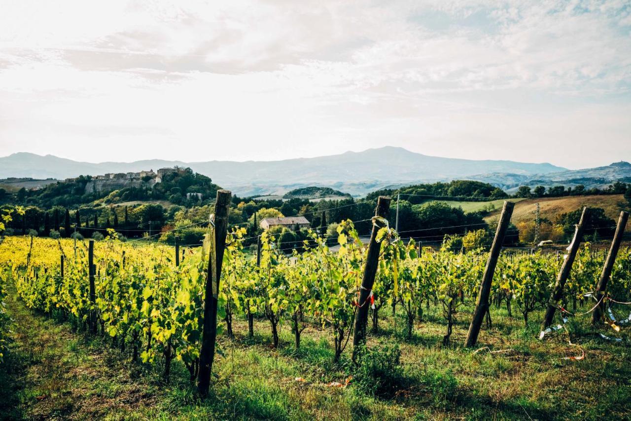 Podere Orto Wine Country House Trevinano Bagian luar foto