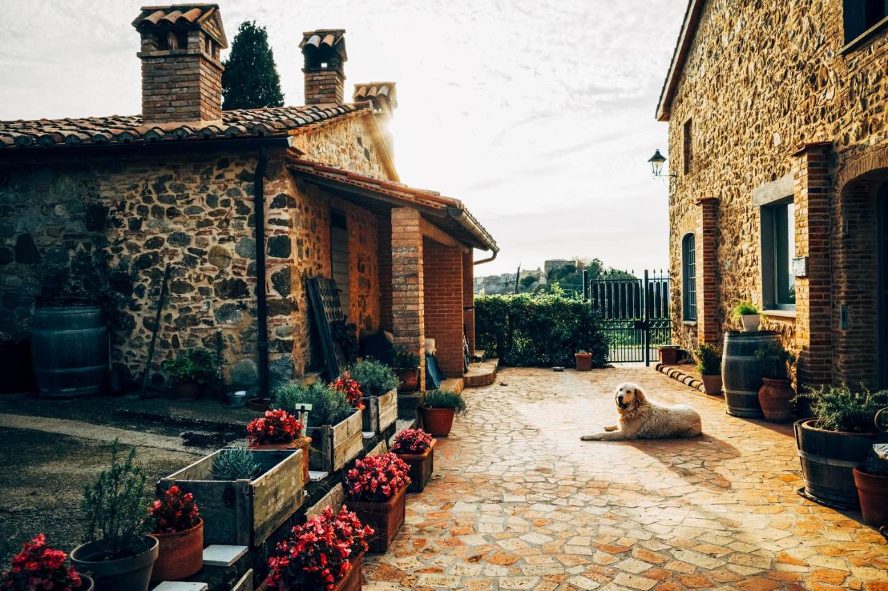 Podere Orto Wine Country House Trevinano Bagian luar foto