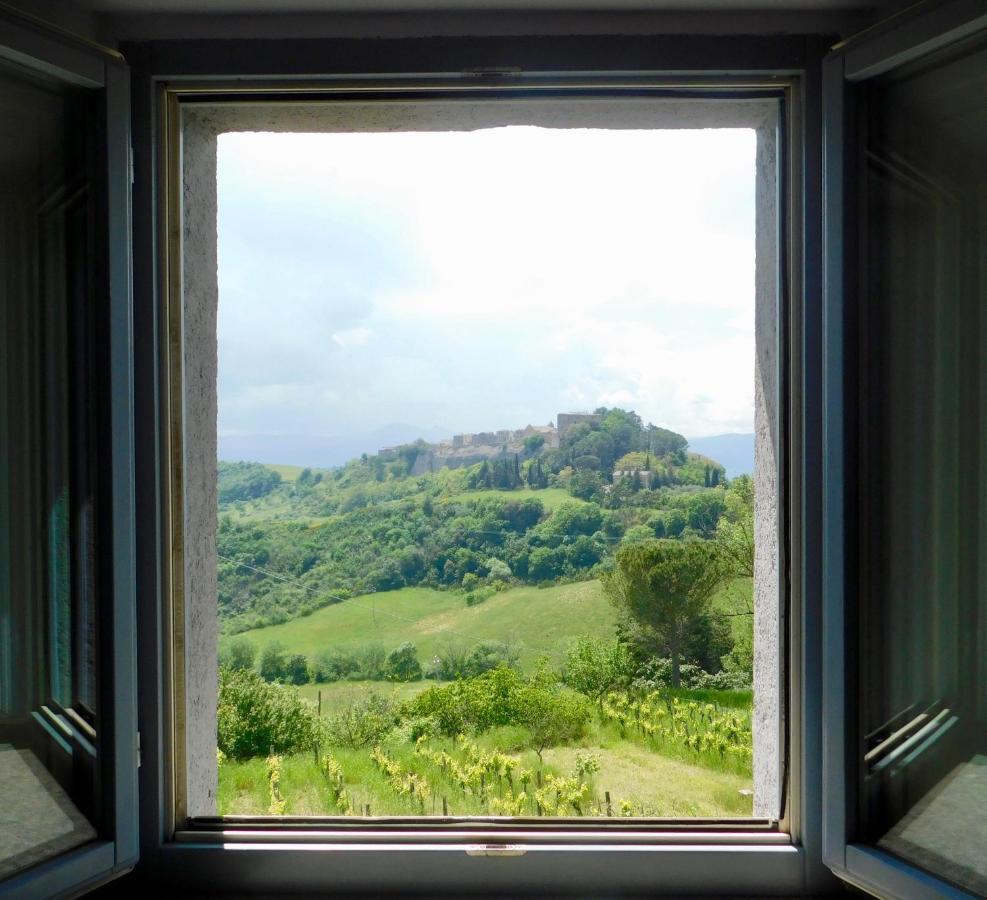 Podere Orto Wine Country House Trevinano Bagian luar foto