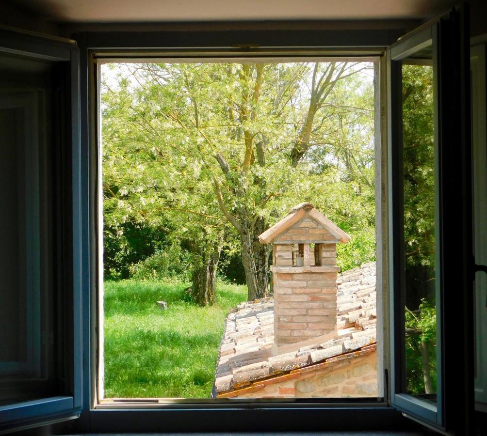 Podere Orto Wine Country House Trevinano Bagian luar foto