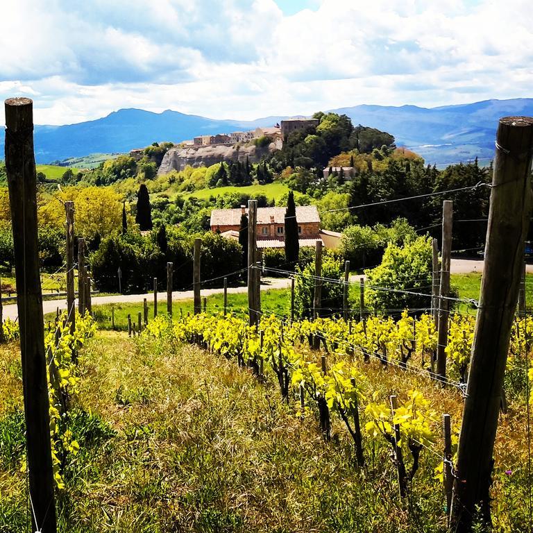 Podere Orto Wine Country House Trevinano Bagian luar foto