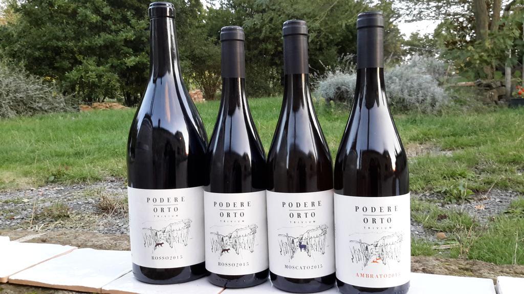 Podere Orto Wine Country House Trevinano Bagian luar foto